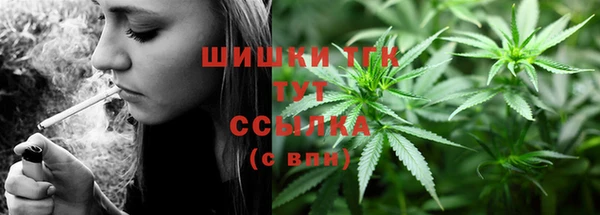 стаф Аркадак