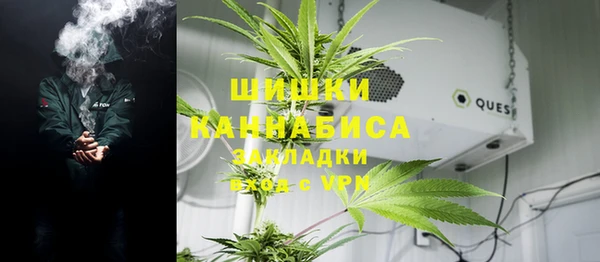 прущая мука Арсеньев