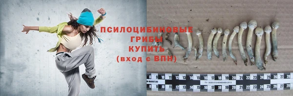 прущая мука Арсеньев
