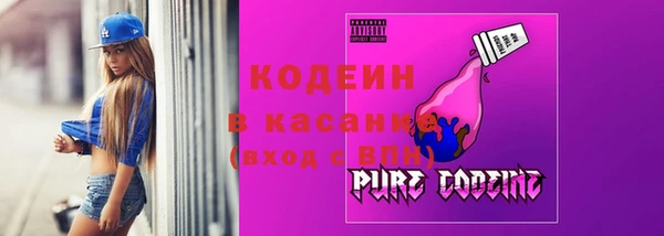 стаф Аркадак