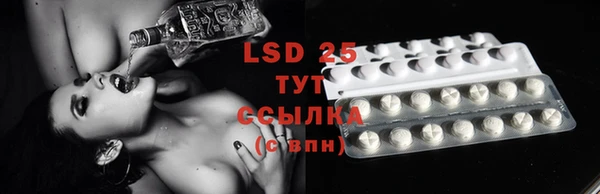 стаф Аркадак