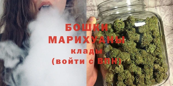 стаф Аркадак