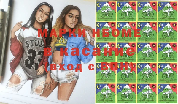 стаф Аркадак