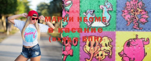 стаф Аркадак
