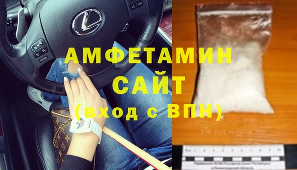 стаф Аркадак