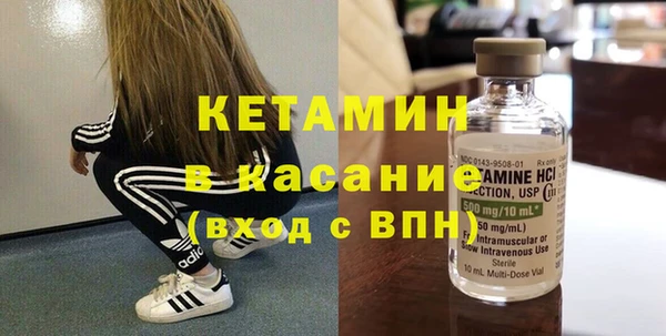 стаф Аркадак