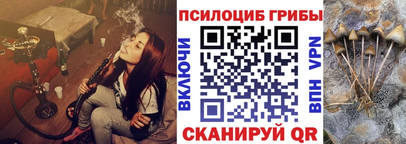 блэк спрут рабочий сайт где купить наркоту Армянск Галлюциногенные грибы Psilocybe